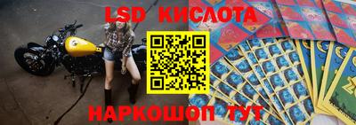 индика Шебекино